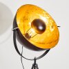 Saturn Staande lamp Zwart, 1-licht