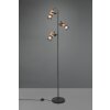 Trio Tosh Staande lamp LED Zwart, 3-lichts