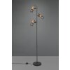 Trio Tosh Staande lamp LED Zwart, 3-lichts