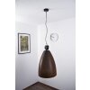 Industria Hanglamp Zwart, 1-licht